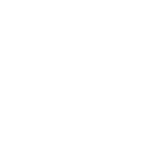 Integrating Perspectives logo